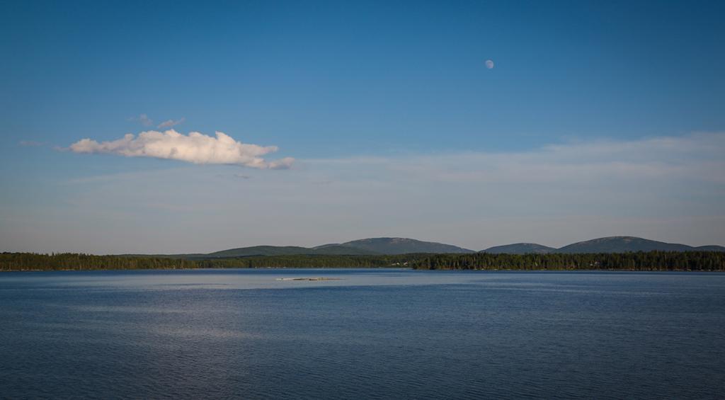 Narrows Too Camping Resort Cabin 1 Trenton Exteriér fotografie