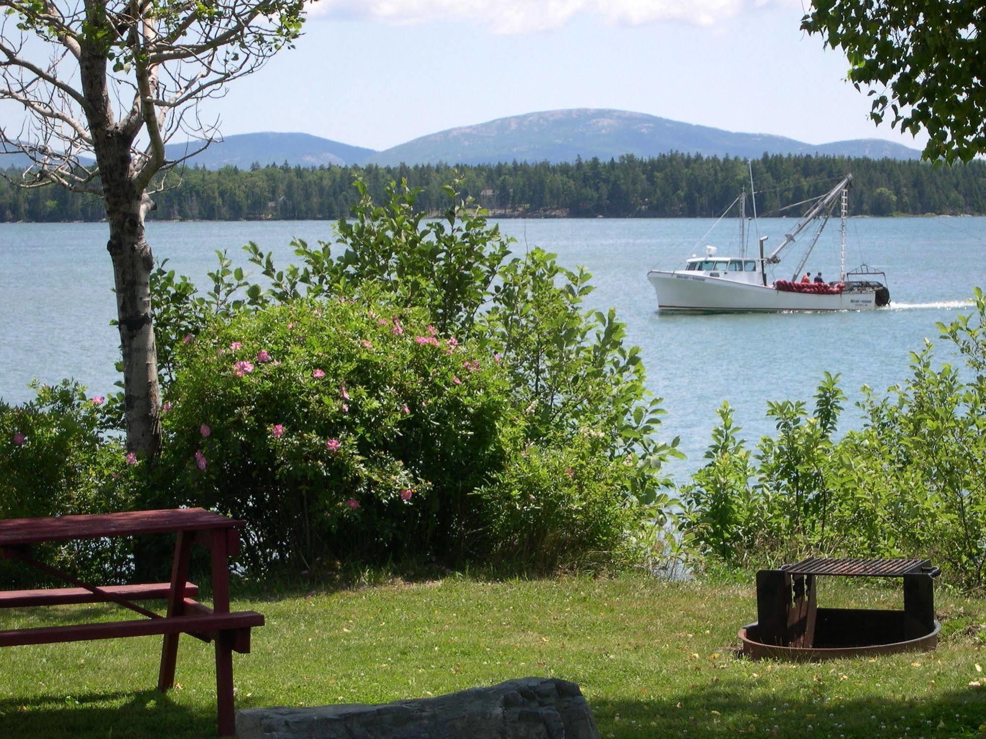Narrows Too Camping Resort Cabin 1 Trenton Exteriér fotografie